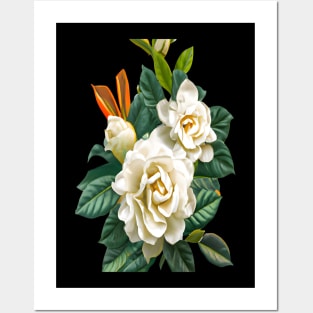 gardenia Posters and Art